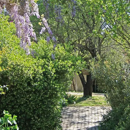 Guest house Neion 3*